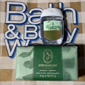 Aromatherapy Stress Relief Eucalyptus Spearmint 2-Piece Set – Bath & Body Works